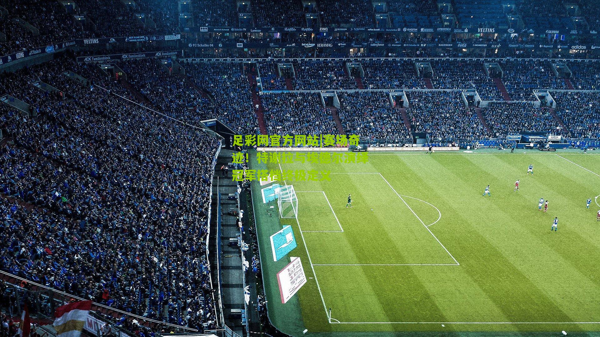 足彩网官方网站|赛场奇迹！特谢拉与埃德尔演绎冠军搭档终极定义