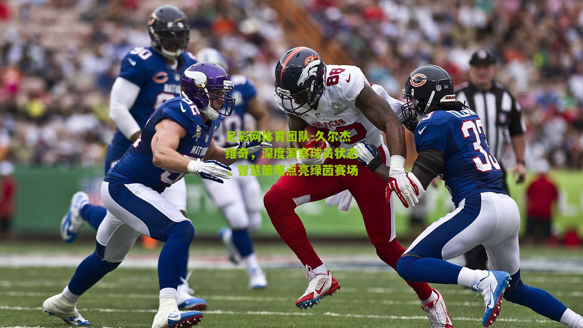 久尔杰维奇，深度洞察球员状态，智慧策略点亮绿茵赛场