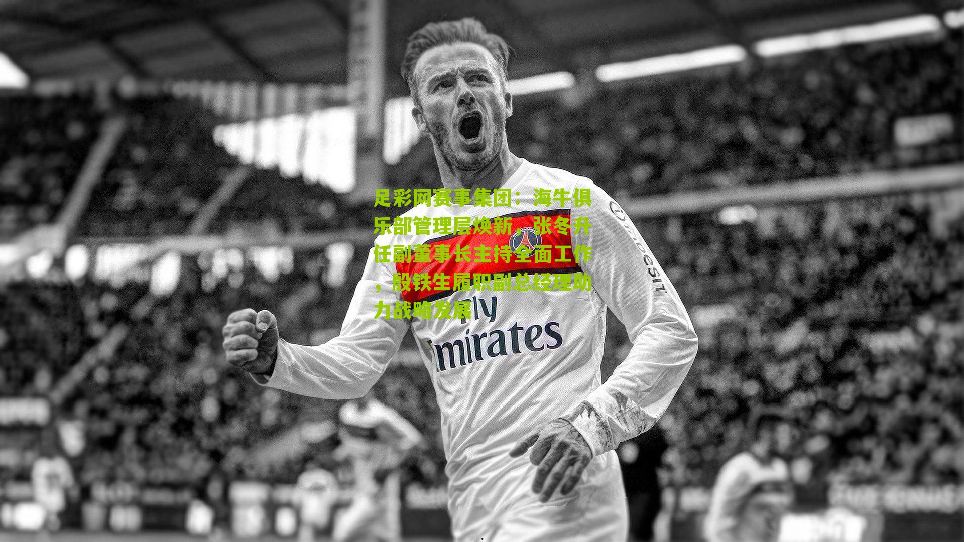 海牛俱乐部管理层焕新，张冬升任副董事长主持全面工作，殷铁生履职副总经理助力战略发展